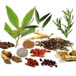 Herbal Products